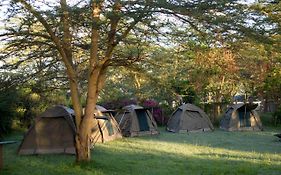 Burch'S Resort Naivasha Camping